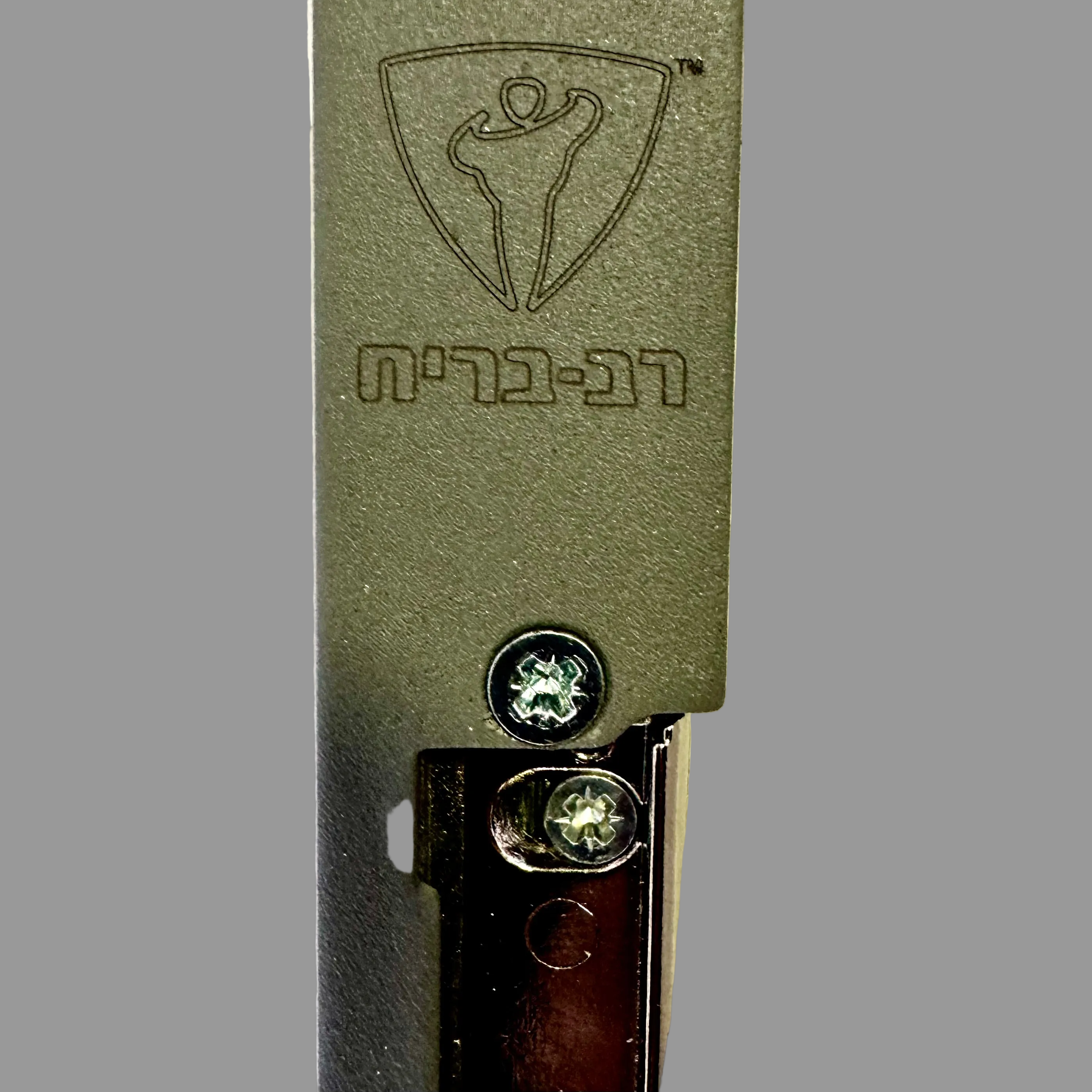 מנעול חשמלי (נגדי חשמלי ) רב בריח